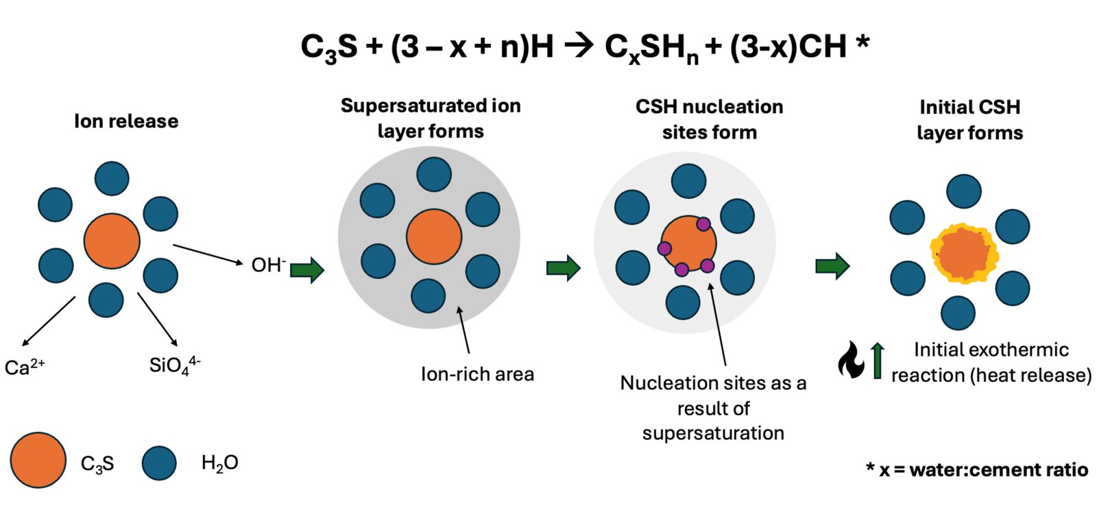 Diagram of CSH forming as C3S hydrates