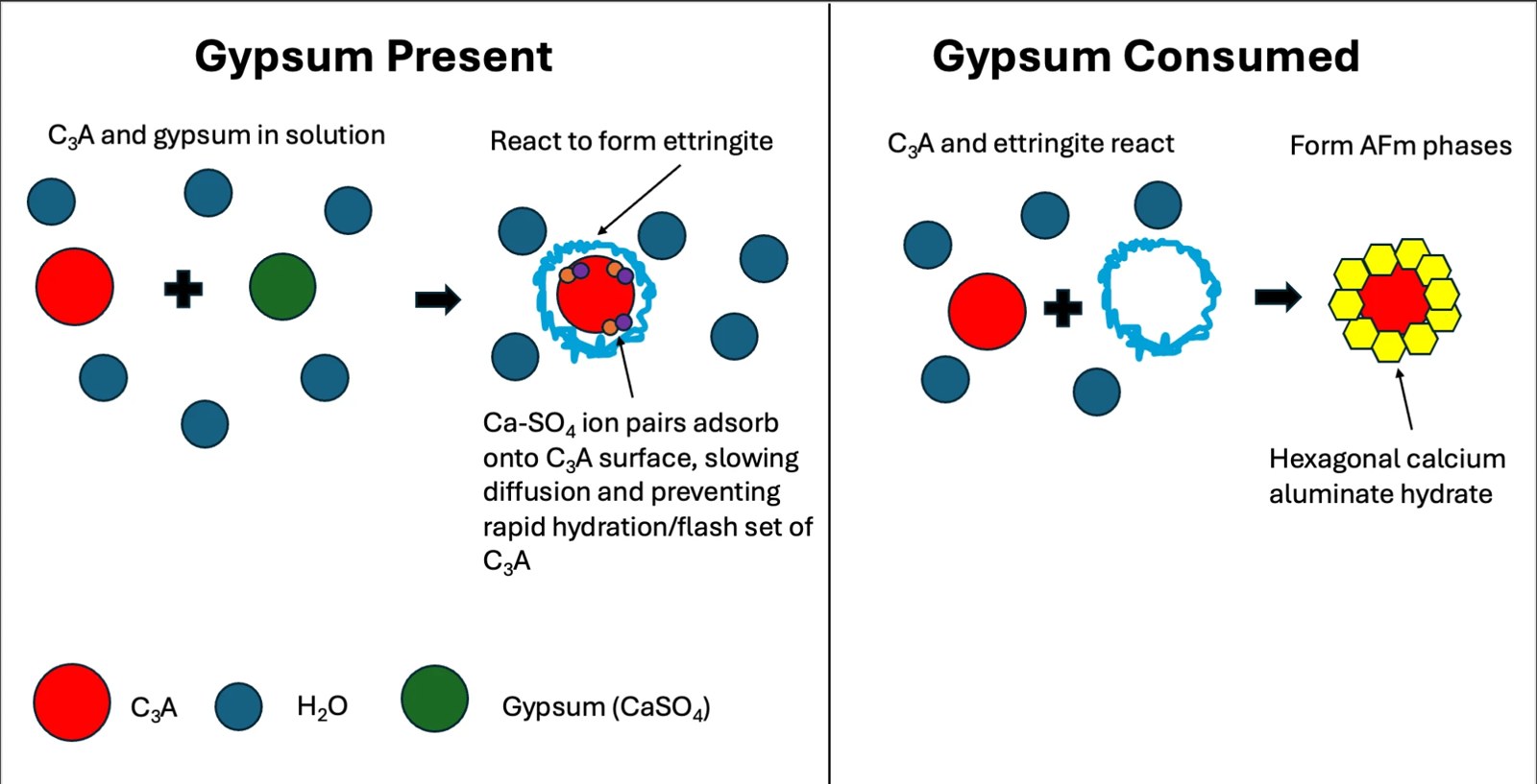 Diagram of gypsum controlling C3A hydration